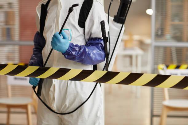 Professional Sewage Cleanup technician working in Worthington, IN